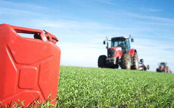 Cabinet gives nod to raise ethanol procurement prices
